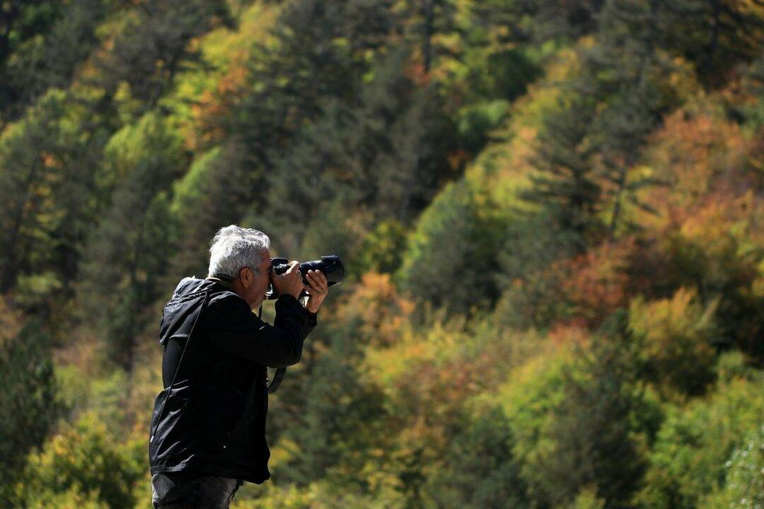 Ilgaz Mountain: Alla höstens färger är här