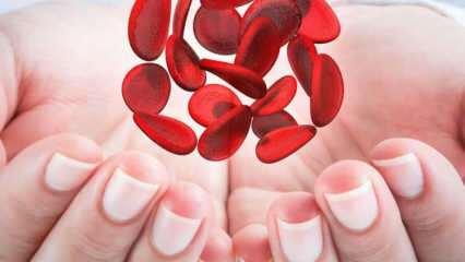 Vad är Medelhavsanemi (Thalassemia)? Vilka är symtomen på Medelhavsanemi? Medelhavsanemi-behandling