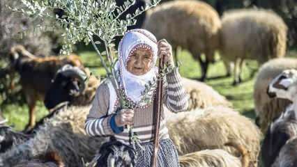Moster Fatma har varit en herde vid foten av Amanosbergen i ett halvt sekel!