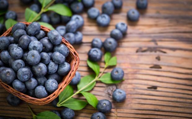 Vilka sjukdomar är bra för blåbär?