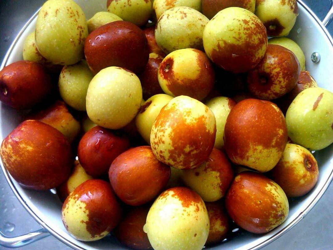 Vilka är fördelarna med jujube-te som rekommenderas av Ibn Sina? Vad är jujube-te bra för?