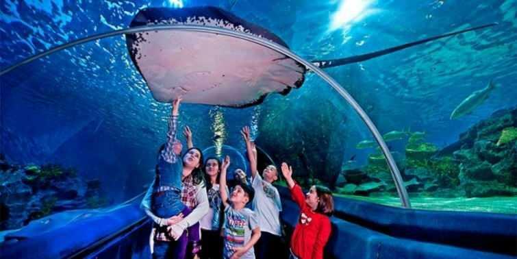  Scener från Istanbul Sea Life Aquarium