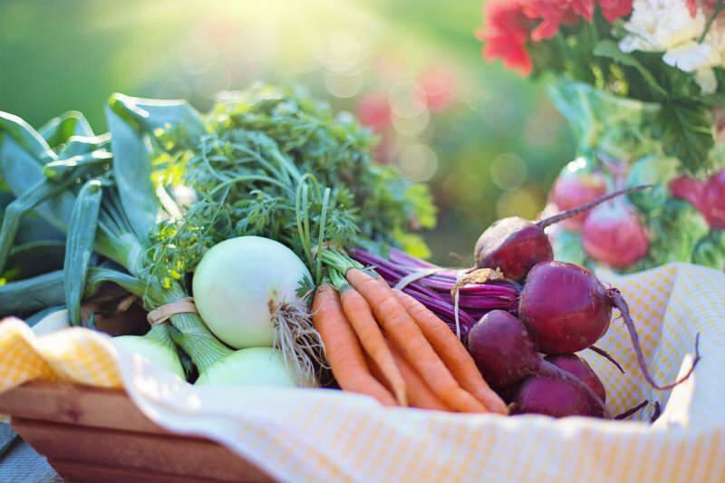 Vad är vegetabilisk diet? Hur man gör en grönsakskost