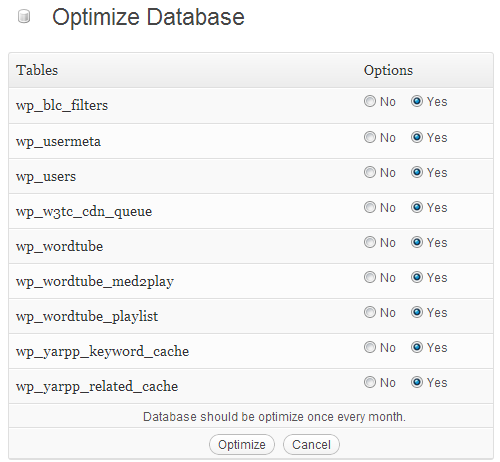 optimera wordpress-databasen