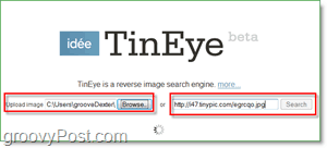 TinEye Skärmdump - leta upp din bild för duplikat och större versioner
