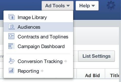 Facebook lookalike målgrupps annonsverktyg