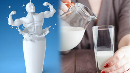 Försvinner dricka mjölk innan du sover? Permanent och hälsosam bantningsmjölkdiet