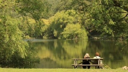 Hur kommer jag till Beynam Atatürk Forest? Promenadområden i Ankara ...