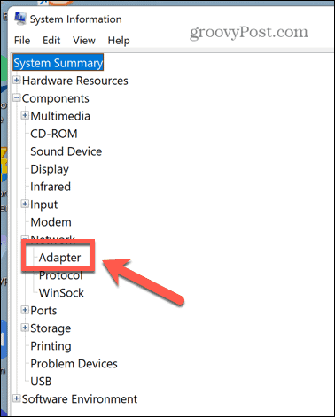 Windows 11 systeminformation adapter