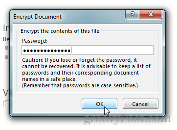 Lösenordsskydda och kryptera Office 2013-dokument: Skriv ett lösenord