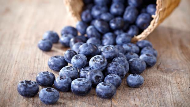 Hur förstår Blueberry?
