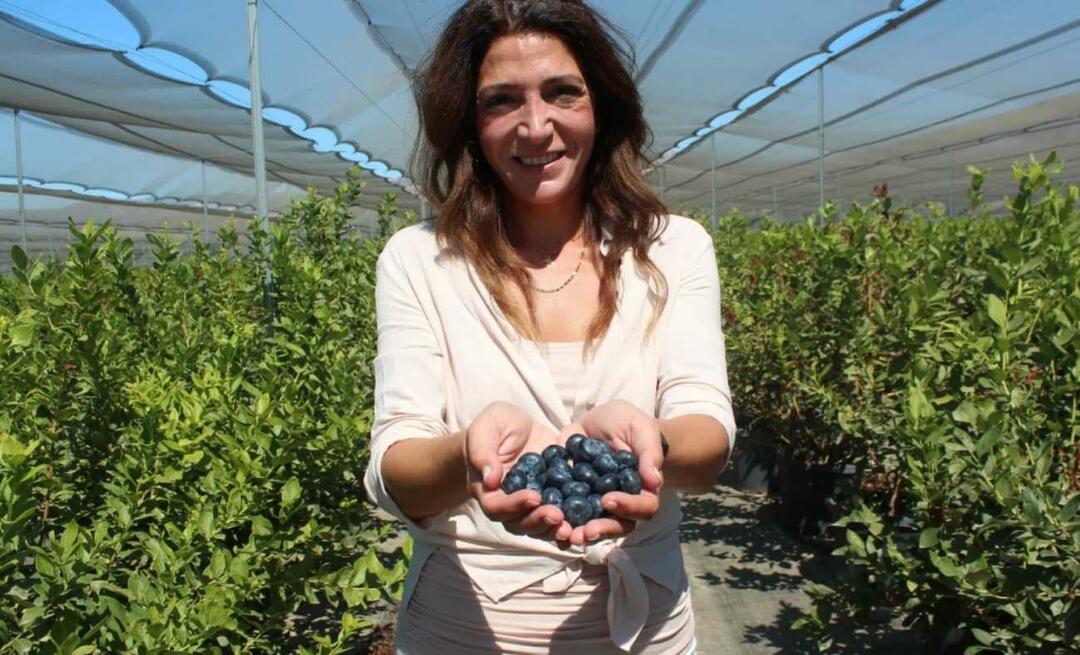Han blev den tredje största bonden i Turkiet genom att odla blåbär!