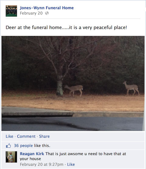 jones-wynn begravningshem facebook uppdatering