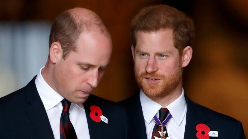 Skyll prinsarna till BBC... Prins William: Den intervjun bröt upp vår familj!