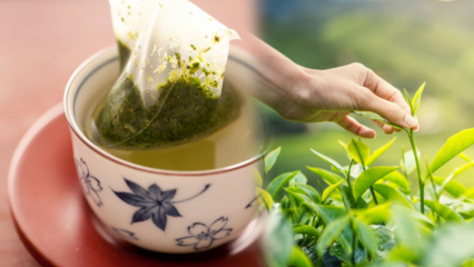 Försvagas skakande grönt te? Vad är skillnaden mellan tepåsar och bryggt te? Om du dricker grönt te vid sänggåendet ...