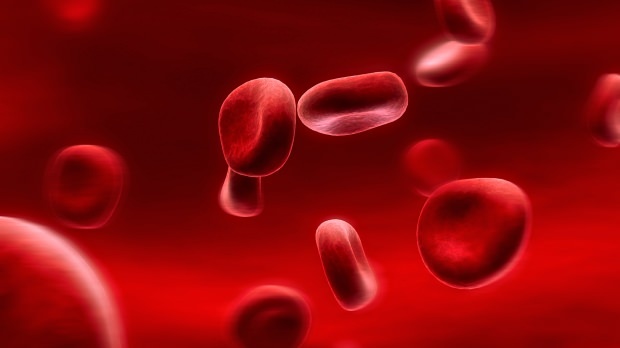 Vad är en blodgruppsdiet? Hur görs det?