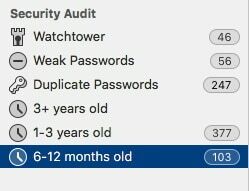 securityaudit