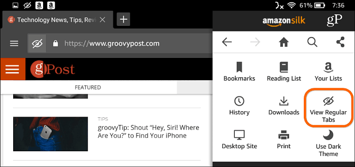 Silk Browser Private Browsing