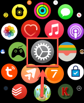 app för apple watch-inställningar