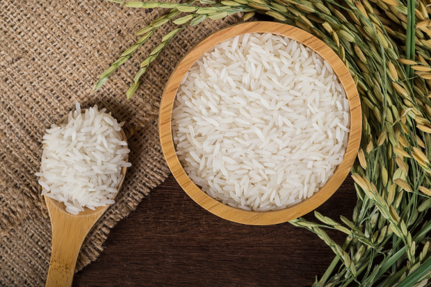 Går det att äta ris att gå ner i vikt?