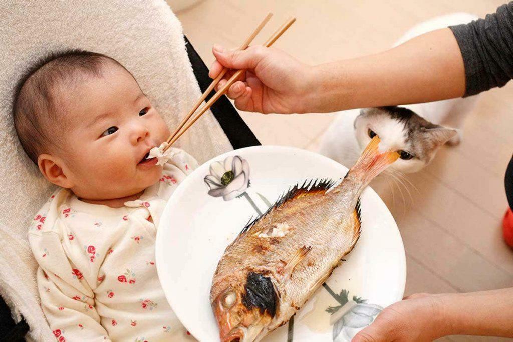 mata fisk till barnet