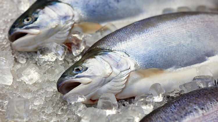 Ändras smaken på fisken som kastas i frysen?