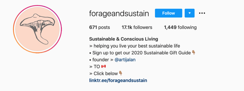 instagramprofilexempel från @forageandsustain med en anteckning i deras profilinformation för att klicka på biolänken för mer