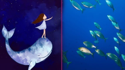 Vad betyder det att se fisk i en dröm? Enligt Diyanet betyder meningen med att fiska i en dröm ...