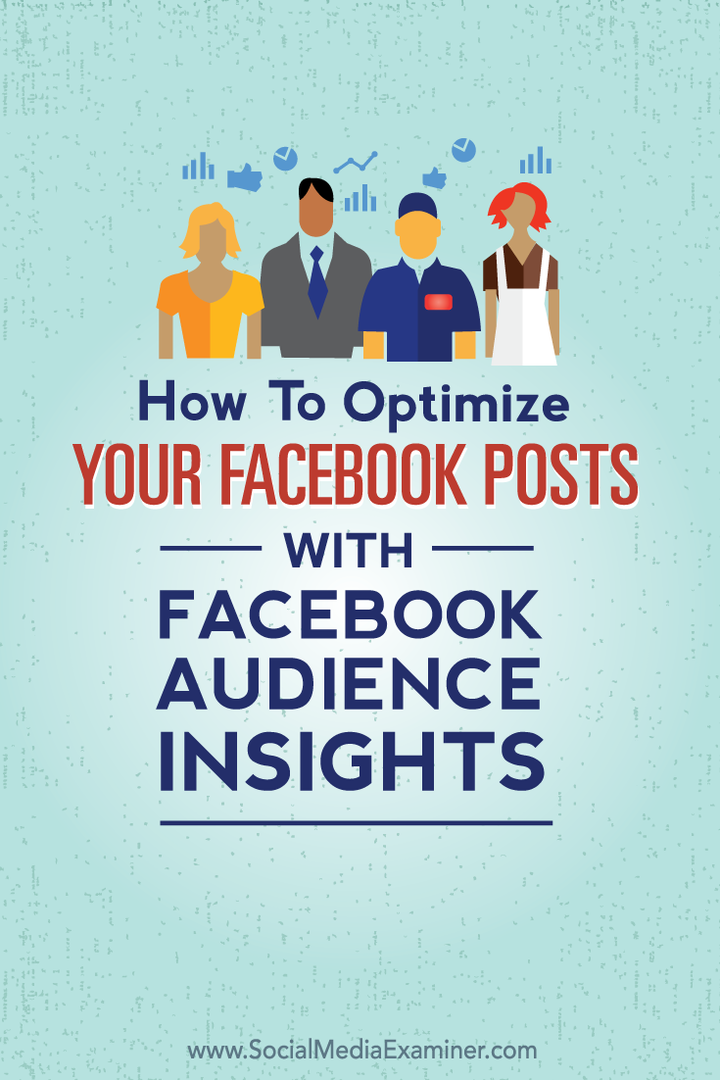 hur man optimerar Facebook-inlägg med publikinsikter