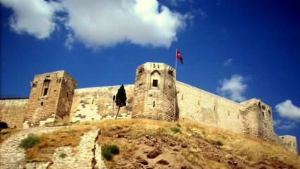 Tunnlar och vattenområdet upptäcktes i det historiska slottet i Gaziantep!