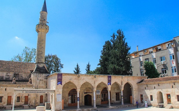 Adana Yağ-moskén