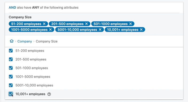 Exempel på målgrupp för linkedin-annonskampanj och attribut med företagsstorlek mellan 51 och 10 001+ anställda