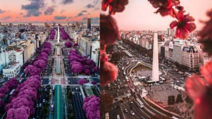 Stadens goda väder: platser att besöka i Buenos Aires!