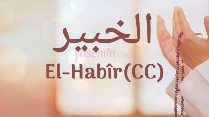 Vad betyder al-Habir (c.c)? Vilka är fördelarna med namnet Al-Habir? Esmaul Husna Al-Habir...