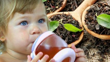Kan bebis dricka te?