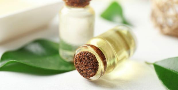 Vilka är fördelarna med tea tree oil cream för huden? Rekommendationer för användning av tea tree oil cream