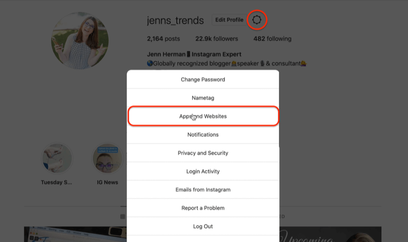 instagram profil kugghjulsikon redigera inställningsmenyalternativ som markerar alternativet appar och webbplatser