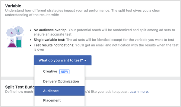 Testad variabel för Facebook-annons