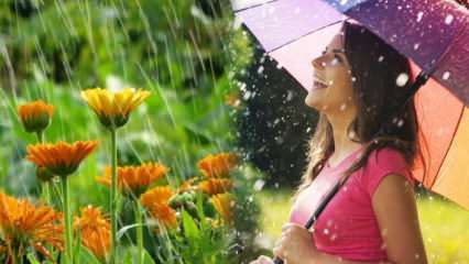 Läker aprilregnet? Vilka är bönerna som ska läsas ner i regnvattnet? Fördelar med aprilregn