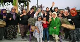First Lady Erdoğan besökte den ekologiska byn och skördade lavendel i Ankara