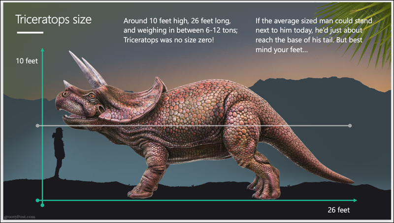 Triceratops Bildspel