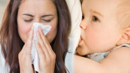 Kan influensamödrar amma sitt barn? Regler för influensamödrar som ammar