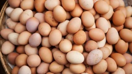Vad bör man beakta när man väljer ett ägg?