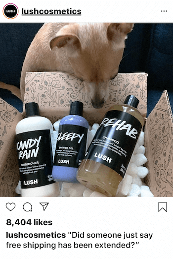 Instagram affärspost med hund