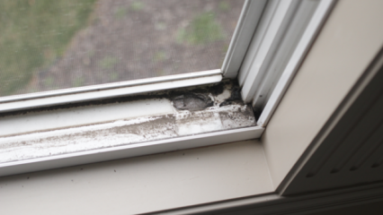 Hur man rengör fönsterbrädor? 