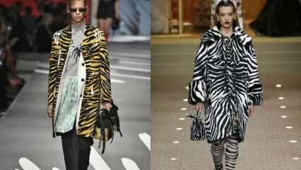 Den senaste trenden 2019: Zebra-mönster