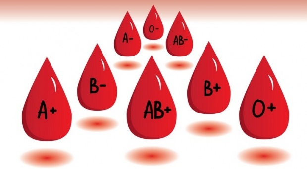 Vad gör blodtypdieten?